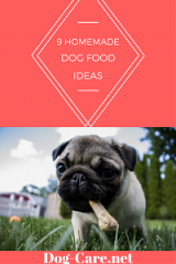 9 home made dog food ideas
